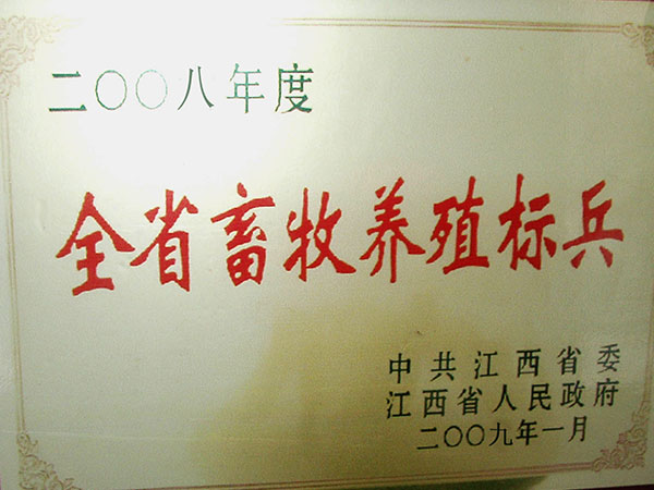 香港和宝典宝典资料大全